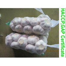 china natural garlic packed in carton (hot sell)